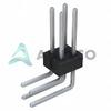 PEC02DGBN