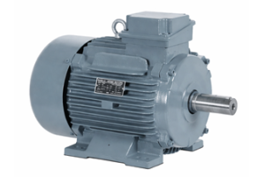 स्क्विरेल केज इंडक्शन मोटर: कार्य सिद्धांत, प्रकार, फायदे और अनुप्रयोग