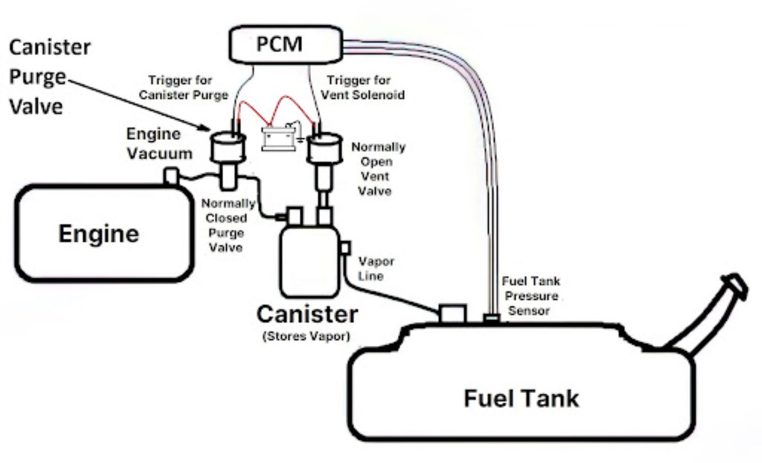 Diagram of the Canister Purge Valve and EVAP System
