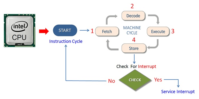 Diagram of the Fetch-Decode-Execute Cycle